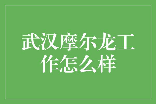 武汉摩尔龙工作怎么样