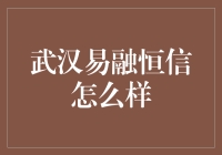 武汉易融恒信金融服务有限公司的综合评价分析