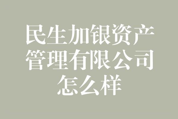 民生加银资产管理有限公司怎么样