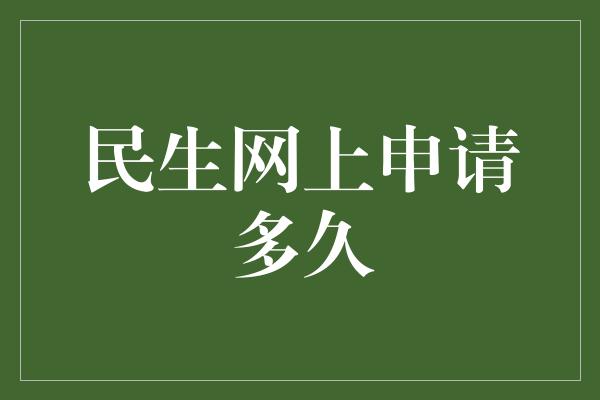 民生网上申请多久