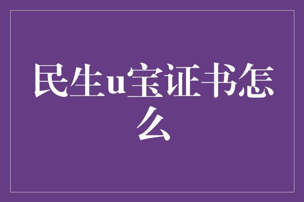 民生u宝证书怎么