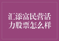 汇添富民营活力股票：潜力无限还是风险重重？