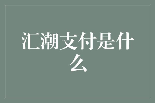 汇潮支付是什么