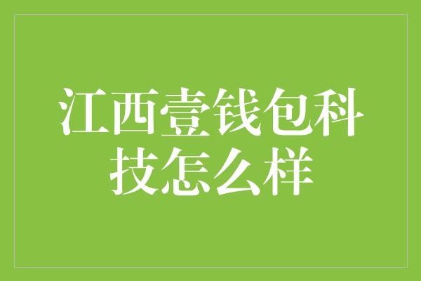 江西壹钱包科技怎么样