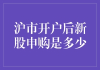 沪市开户后的新股申购流程及规则详解