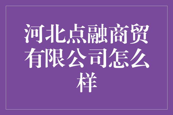 河北点融商贸有限公司怎么样