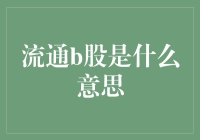 流通B股的概念与市场意义：投资视角下的解读