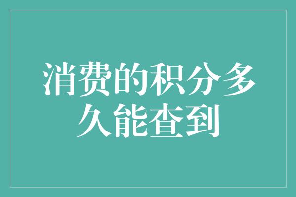 消费的积分多久能查到