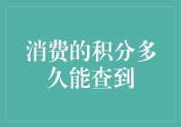 消费积分查询指南：积分何时显现，犹如春风吹过秋日的树叶