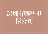 深圳担保公司概述：助力企业融资的金融桥梁