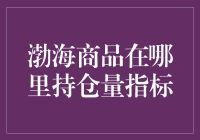 当渤海商品遇上持仓量指标：一场持仓的爱情冒险