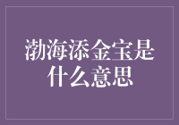 渤海添金宝——新手投资者的福音？