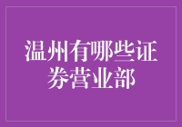 温州证券市场繁荣背景下营业部探析