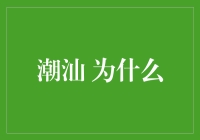 潮汕为何能成为美食与文化的独特代表：粤港澳大湾区的独特魅力