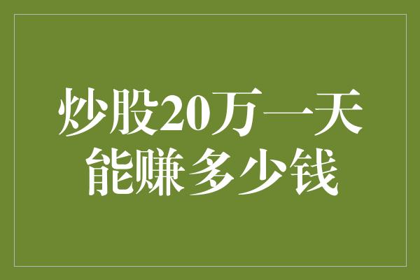 炒股20万一天能赚多少钱