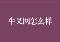 牛叉网怎么样？揭秘其背后的故事与真相！