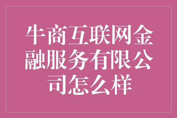 牛商互联网金融服务有限公司怎么样