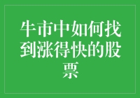 牛市中如何寻找潜力股：策略与技巧