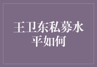 王卫东私募水平评析：专业能力与市场适应性的双轮驱动