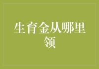 解读生育金：从哪里领取，如何确保应得权益？