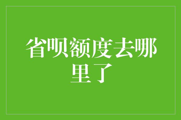 省呗额度去哪里了