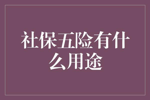 社保五险有什么用途