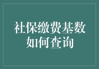 社保缴费基数查询攻略：轻松掌握个人社保动态