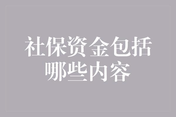 社保资金包括哪些内容