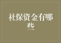 社保大揭秘！你的钱都去哪儿啦？