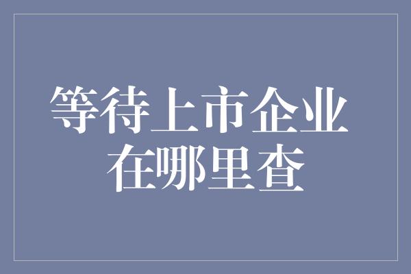 等待上市企业 在哪里查