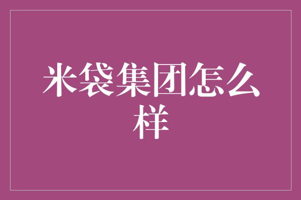 米袋集团怎么样