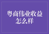 粤商伟业：探索收益潜力与商业智慧