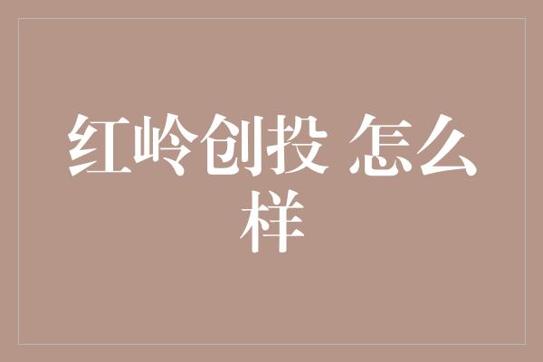 红岭创投 怎么样