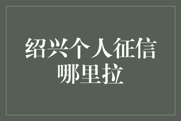 绍兴个人征信哪里拉