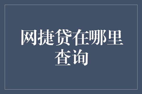 网捷贷在哪里查询