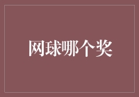 网球哪个奖？单打冠军奖杯还是最佳吃瓜群众奖？