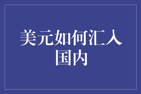 美元如何汇入国内