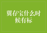 翼存宝什么时候有标：从用户需求出发，解析产品发布时机的重要性