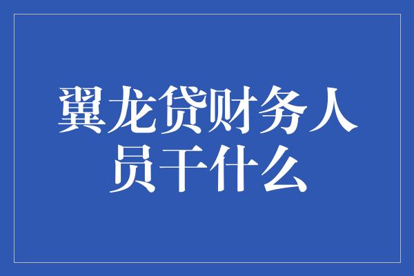 翼龙贷财务人员干什么