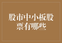 股市中的小板股票大冒险：那些年我们一起追过的小巨人