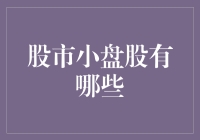 小盘股的崛起：探索那些可能改变市场的股票