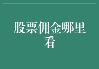 如何高效查询股票佣金：一个专业投资者的指南