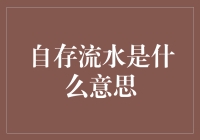 自存流水：一种新兴的金融领域概念解析