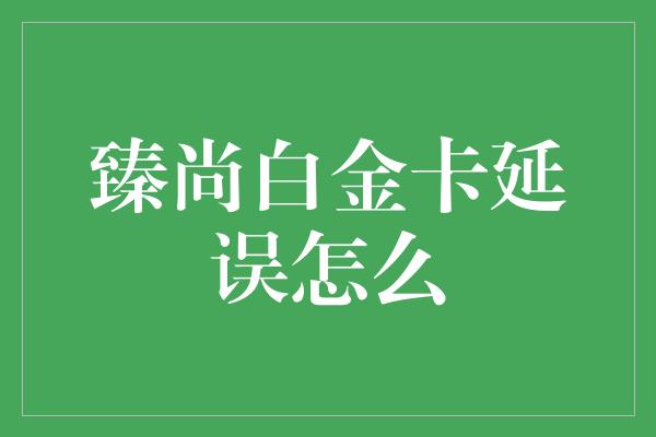 臻尚白金卡延误怎么