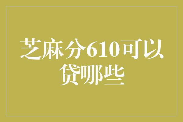 芝麻分610可以贷哪些