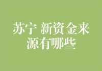 苏宁：探索新的资金来源，实现业务持续增长