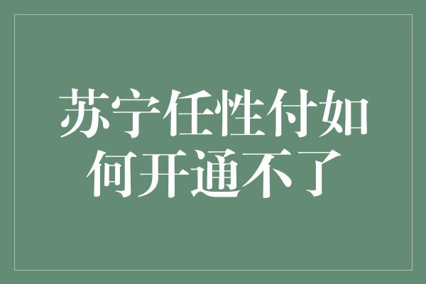 苏宁任性付如何开通不了