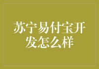 苏宁易付宝开发：一场程序员的奇幻之旅