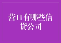 营口市信贷公司概览：为小微企业注入资金活力