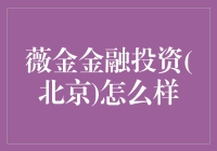 薇金金融投资(北京): 以创新金融科技引领未来投资趋势